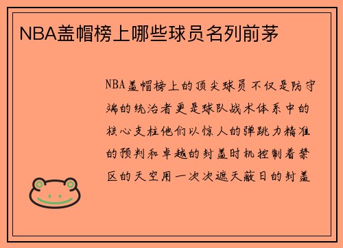 NBA盖帽榜上哪些球员名列前茅